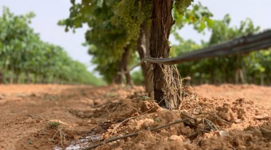 3,9 millones para la energía de explotaciones agrarias